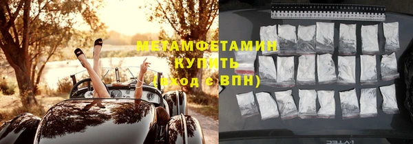 шишки Приозерск