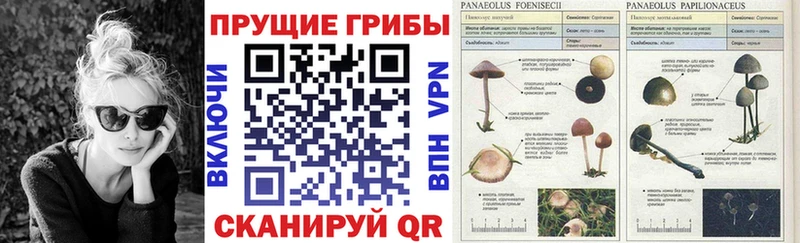 Галлюциногенные грибы мухоморы  ссылка на мегу маркетплейс  Венёв 